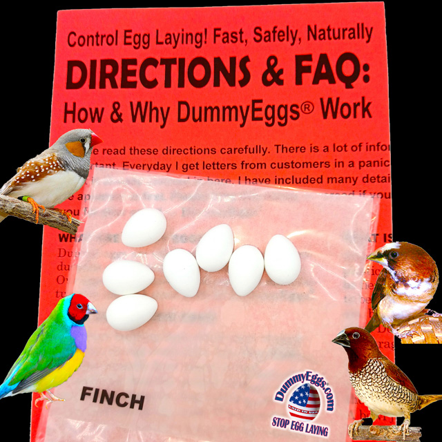 Plastic DummyEggs® for Finch plus image of finches and directions